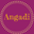 logo of Angadi LLC