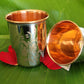 Copper Glasses With Steel Finish (outer)